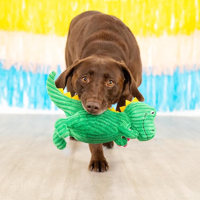 Fringe Studio Plush Dog Toy, Thorny But Cute, PetShop Collection (314156)