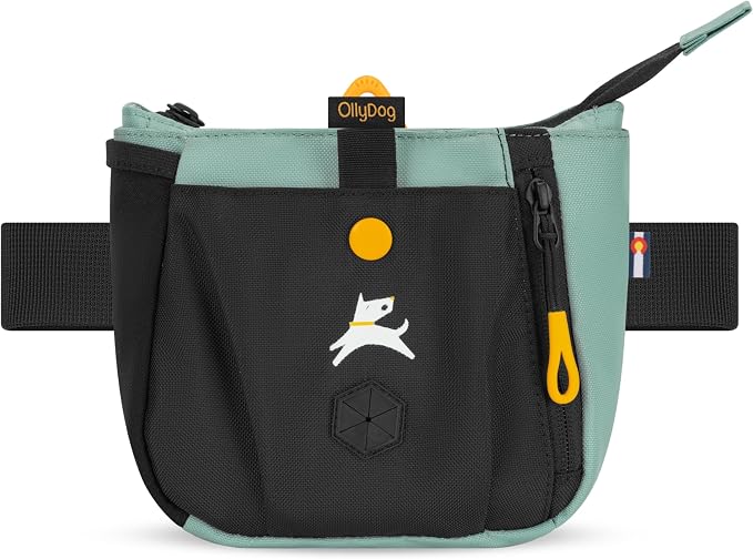 Backcountry Day Bag | Dog Training Treat Pouch | Eco-Friendly Recycled Fabric Fanny Pack with Zipper Closure, Built-in Poop Bag Dispenser & Adjustable Waist Belt (Surf)