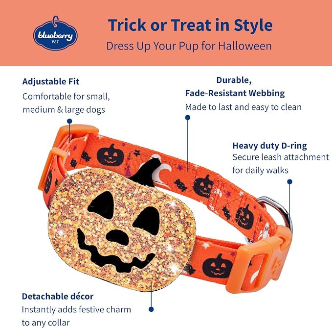 Blueberry Pet Halloween Party Adjustable Dog Collar with Detachable Pumpkin Accessory, Small, Neck 12"-16"