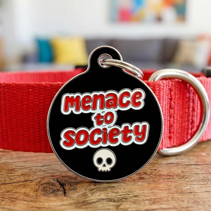 Bad Tags Personalized Dog and Cat ID Tags in 25+ Designs and 2 Sizes - 5 Lines of Custom Engraved Text - Funny Cute Personalized Pet Tags (Menace to Society, Small (1 inch))