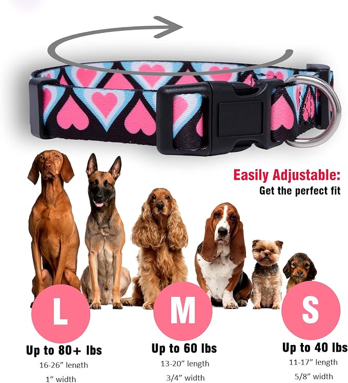 Native Pup Valentine’s Dog Collar- Valentines Day Pet Collars- Valentine Girly Hearts- Pink Red Heart- Cute Boy Girl Puppy Gift- Adjustable for Small, Medium, Large Breeds (Blue & Pink Hearts, Small)
