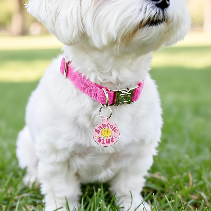 Bad Tags Personalized Dog and Cat ID Tags in 25+ Designs and 2 Sizes - 5 Lines of Custom Engraved Text - Funny Cute Personalized Pet Tags (Snuggle Sl*t - Pink, Large (1.25 inch))