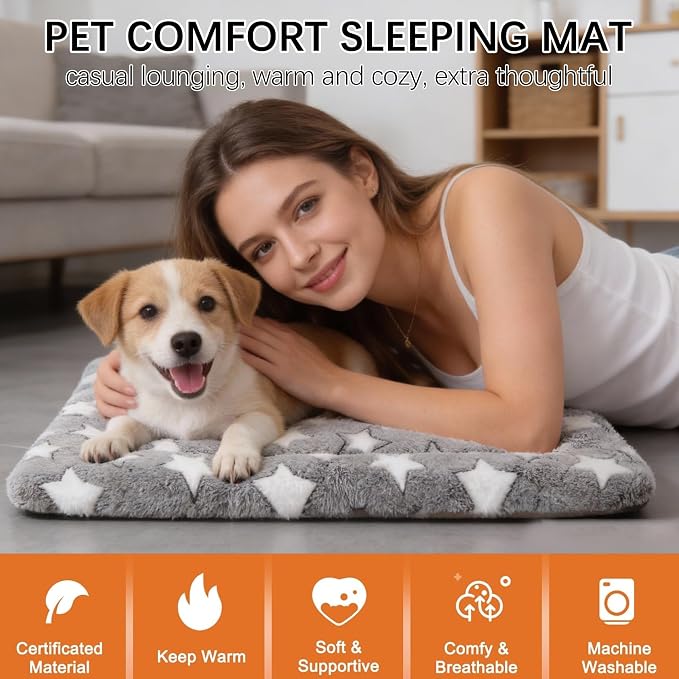 Dog Bed Mat, Reversible Crate Pad, Machine Washable for Small Dogs | Ultra soft plush, dual-sided cool/warm, machine washable kennel mat for small dogs, cute travel bed