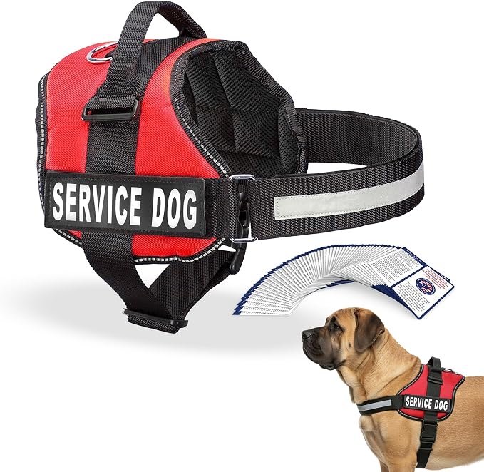 Industrial Puppy Service Dog Vest Harness - Durable & Adjustable Vest for Dog with Reflective Straps, Removable Patches, 50 ADA Cards, Handle & D-Ring, Travel and Daily Use, (Bright Red, XL 30"-39")