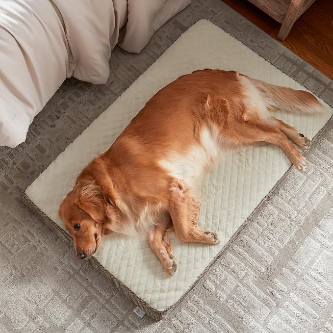 JOEJOY Orthopedic Medium Dog Bed, Washable Dog Crate Bed Medium Sized with Removable Cover, Egg Memory Foam Pet Beds, Beige, 29"x18"