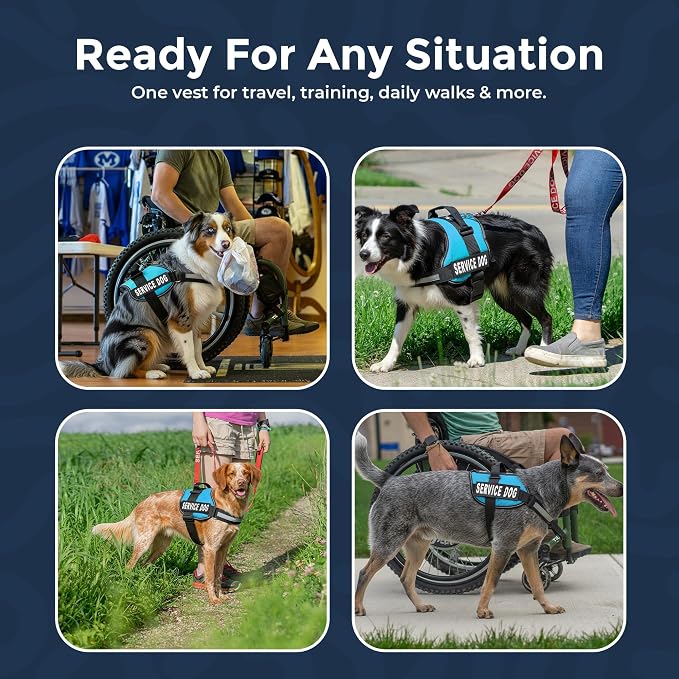 Industrial Puppy Service Dog Vest Harness - Durable & Adjustable Vest for Dog with Reflective Straps, Removable Patches, 50 ADA Cards, Handle & D-Ring, Travel and Daily Use, (Blue, Medium 25"-32")