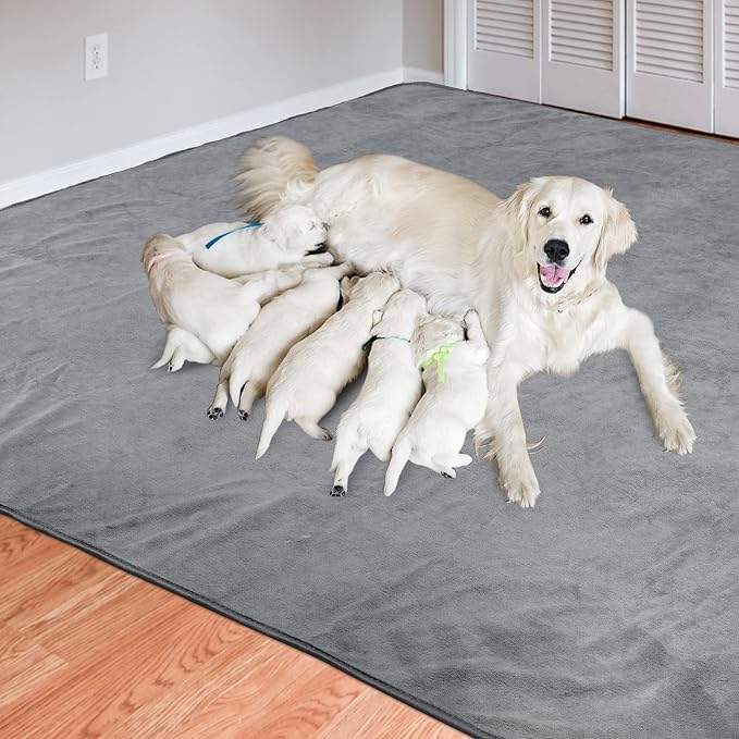 Dog Pee Pads Washable, 2 Pack Dog Training Pads with Non-Slip Bottom, 31x36 | Waterproof, Fast Dry, Reusable Playpen Mat, Floor Mat for Puppy, Dog Training, Senior Dog Incontinence, Housebreaking