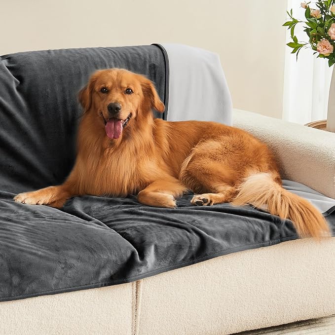 Waterproof Blanket 60"x80" for Adults, Reversible Waterproof Bed Cover for Dogs Cats Pets, Soft Leakproof Blanket for Bed Couch Sofa Furniture Protector, Dark Grey/Light Grey