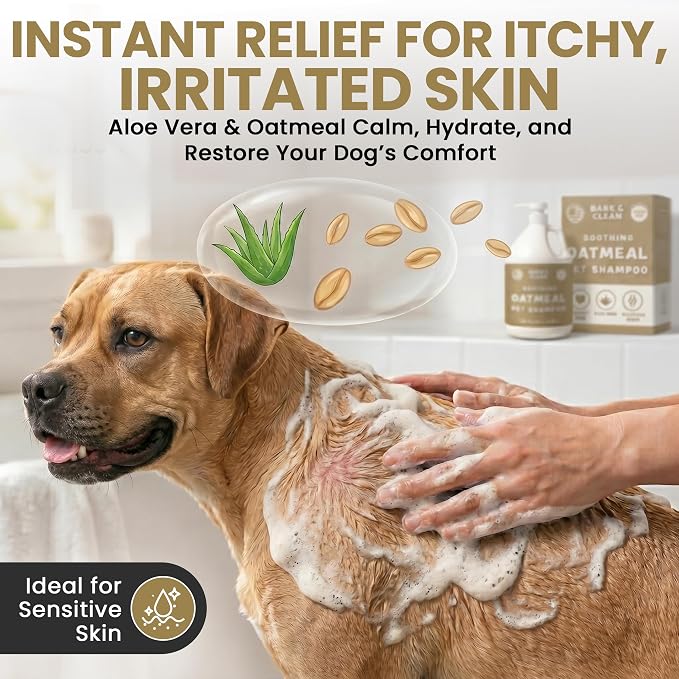 Oatmeal Dog Shampoo for Itchy Dry Skin, 1 Gallon with Pump - Hypoallergenic Anti-Itch Allergy & Sensitive Relief, Smelly Dogs, Aloe Vera Coconut Oil, Sulfate and Paraben Free, Made in USA Bark & Clean