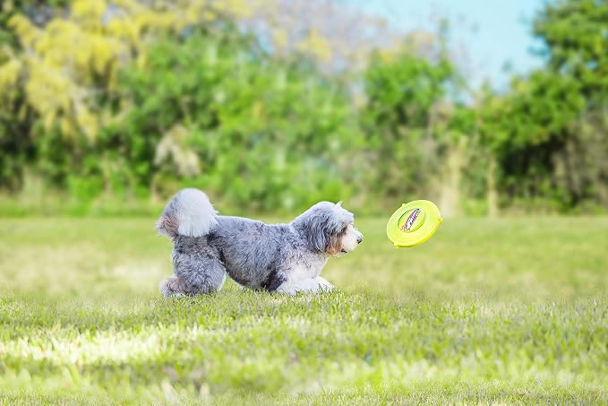 Wham-O Pets Jazwares Frisbee Whizzbee - The Original Fetch Flyer - Flying, Whistling, Floatable Disc Dog Toy
