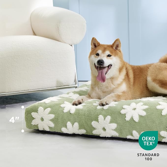 LE SURE Dog Beds Medium Size-Thick Shredded Chopped Foam Pet Bed as Gift for Indoor with Removable Cover, Cute Modern Fuzzy Plush & Anti Slip Bottom, Green