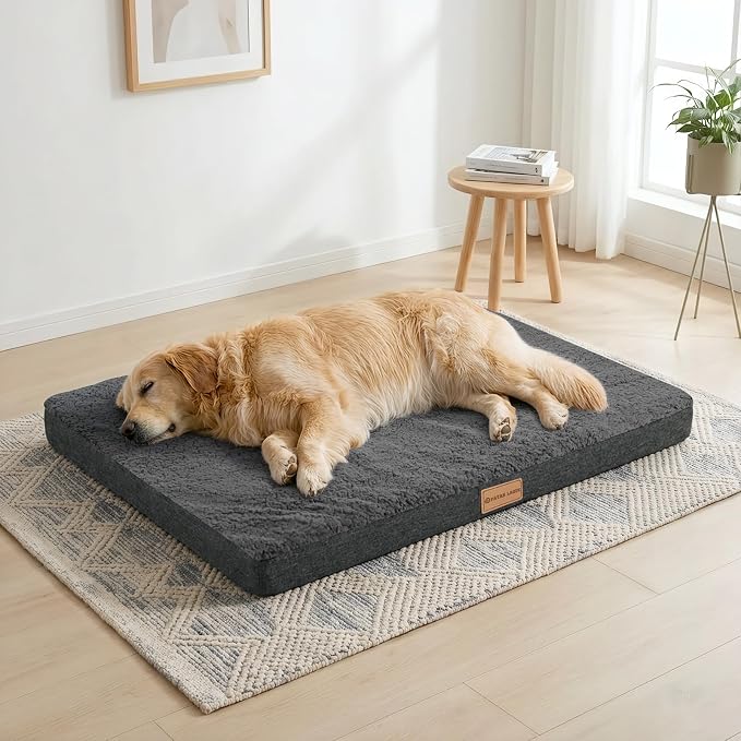 Patas Lague Orthopedic Large Dog Bed Pet Sofa Mat 48''X30'' Dark Grey | Egg-Crate Foam Dog Couch For Large Sized Dogs, Waterproof Removable Washable Cover, Soft Pet Crate Bed With Nonskid Bottom