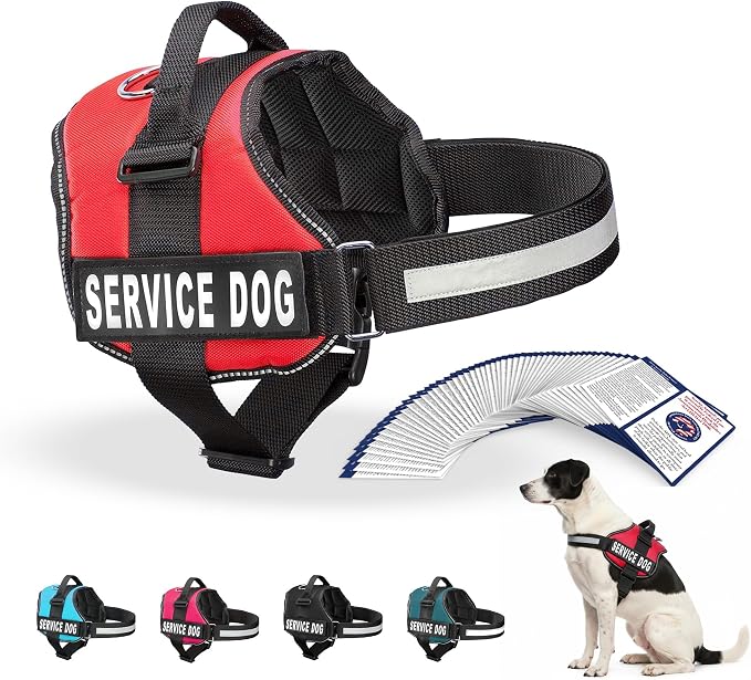Industrial Puppy Service Dog Vest Harness - Durable & Adjustable Vest for Dog with Reflective Straps, Removable Patches, 50 ADA Cards, Handle & D-Ring, Travel and Daily Use, Bright Red, Medium 25"-32"