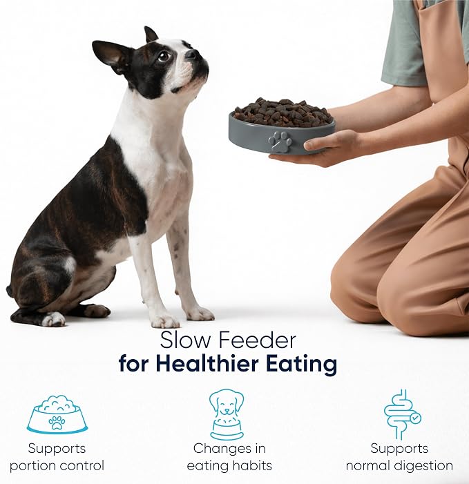 Slow Feeder Dog Bowls – 1.5-Cup Ceramic Dog Bowl Slow Feeder – Microwaveable Dog Slow Feeder for Small and Medium Dogs – Lead and BPA-Free Ceramic Pet Bowl – Pet Feeder for Fast Eaters