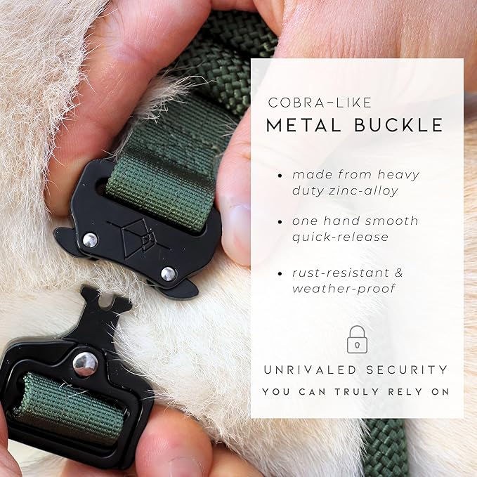 Made to ROAM Premium Dog Collar - Adjustable Heavy Duty Nylon Collar with Quick-Release Metal Buckle (Alaska Daybreak, Classic Size 0)