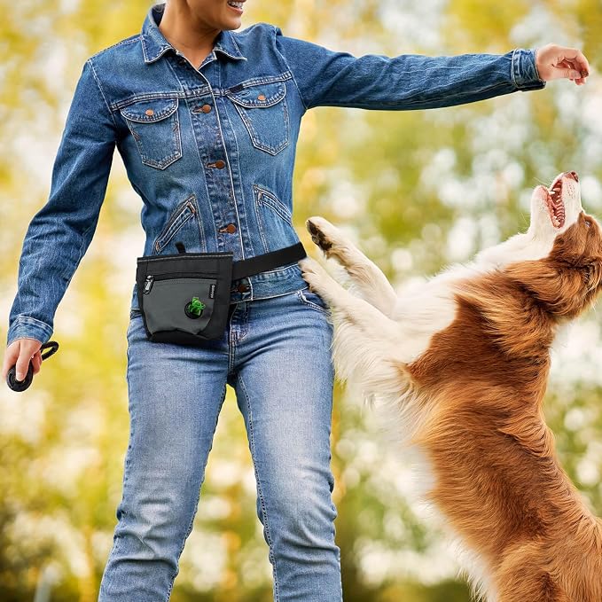 2 Cup Dog Treat Pouch with Training Clicker(Black/Gray) | 2 Pair Magnetic Closures, Zipper Pocket with Poop Bag Holder, Waist Belt & Metal Clip to Wear for Pet Training/Daily Walking