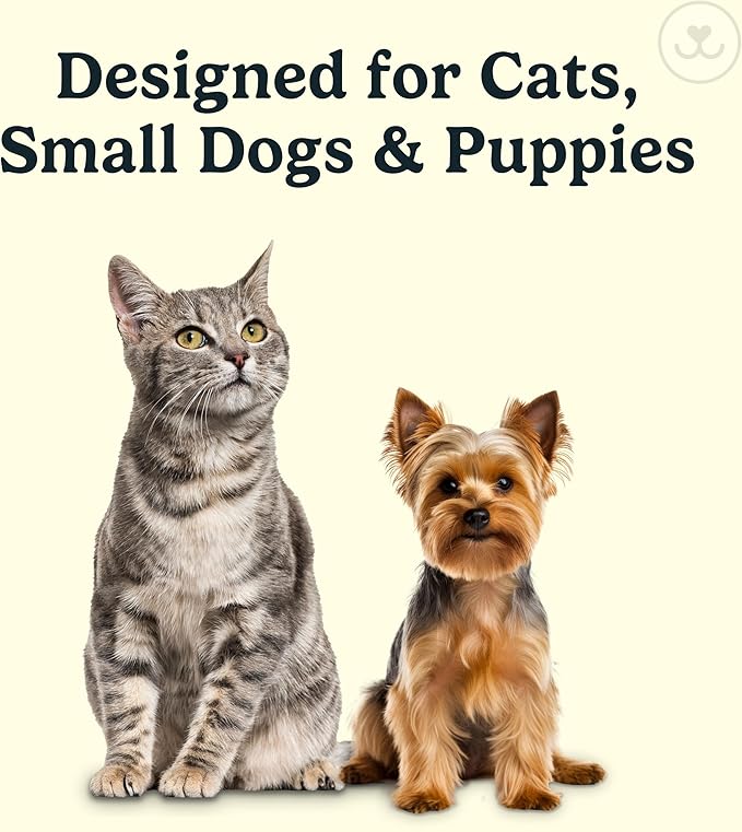 Jasper Microbrush Vet Approved Cat Toothbrush, Soft-Bristled Toothbrush Kit for Felines & Small Dogs, Non-Slip Handle, Tooth Brush Heads, Use with Cat Toothpaste, 4-Pack Blue