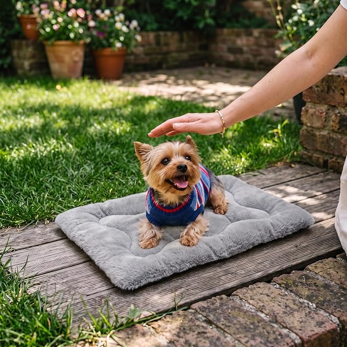 Dog Bed 22" for Metal Crate Pad, Washable Kennel Mat for Small Puppy & Cats | Soft faux rabbit fur, non-slip,machine wash/dry, plush cushioning, for crates, floors & travel, multiple sizes for all breeds