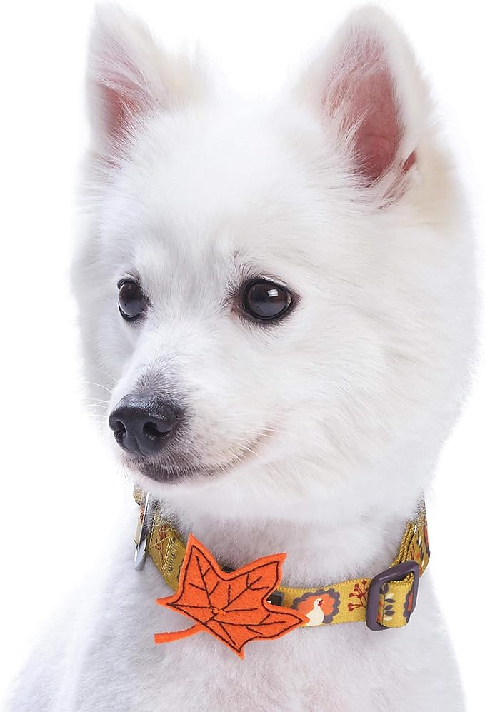 Blueberry Pet Thanksgiving Fall Festival Moonlit Turkey Designer Adjustable Dog Collar with Maple, Small, Neck 12"-16"