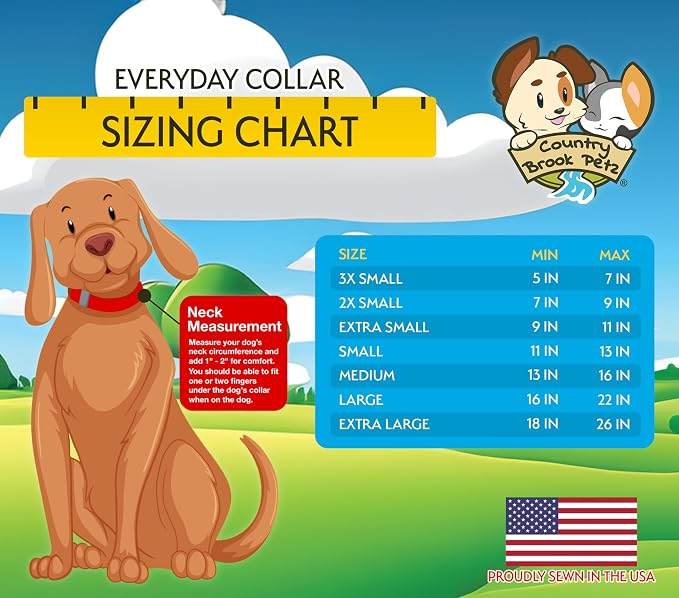Country Brook Petz - Nature Walk Everyday Dog Collar Limited Edition - Made in The U.S.A. - Awesome Autumn Collection Featuring Design You Will Fall for (5/8 Inch, Small)