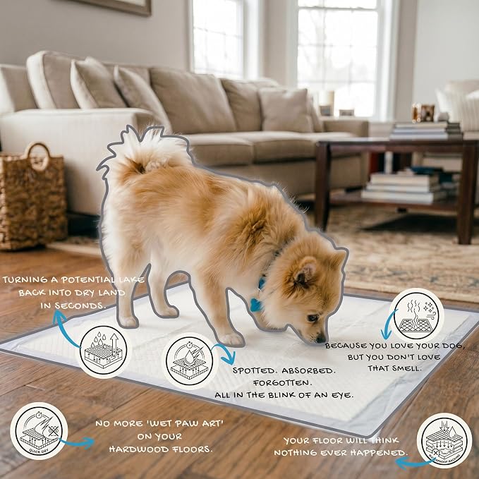 Quick-Drying & Super Absorbent Precious Puppy Pads, Leak-Proof & Unscented White Dog Pee Pads | Premium Potty Training Pads for Dogs (1, Large)
