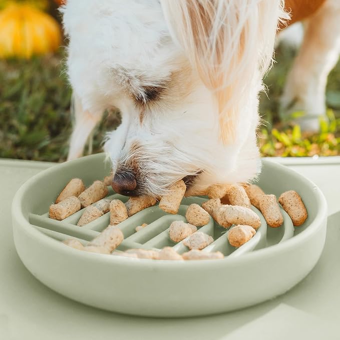 Should We Go? Slow Feeder Dog Bowls - Small Size Silicone Slow Eating Dog Bowl for Puppies & Dogs with Suction Cup -Dishwasher-Safe, Lick Mat Design, Reduces Gulping, for All Breeds, 6”x1.25”- Sage