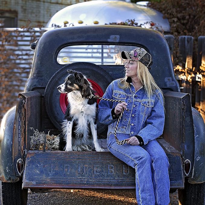 Mendota Pet Slip Leash - Dog Lead and Collar Combo - Made in The USA - Woodlands, 3/8 in x 6 ft - for Small/Medium Breeds