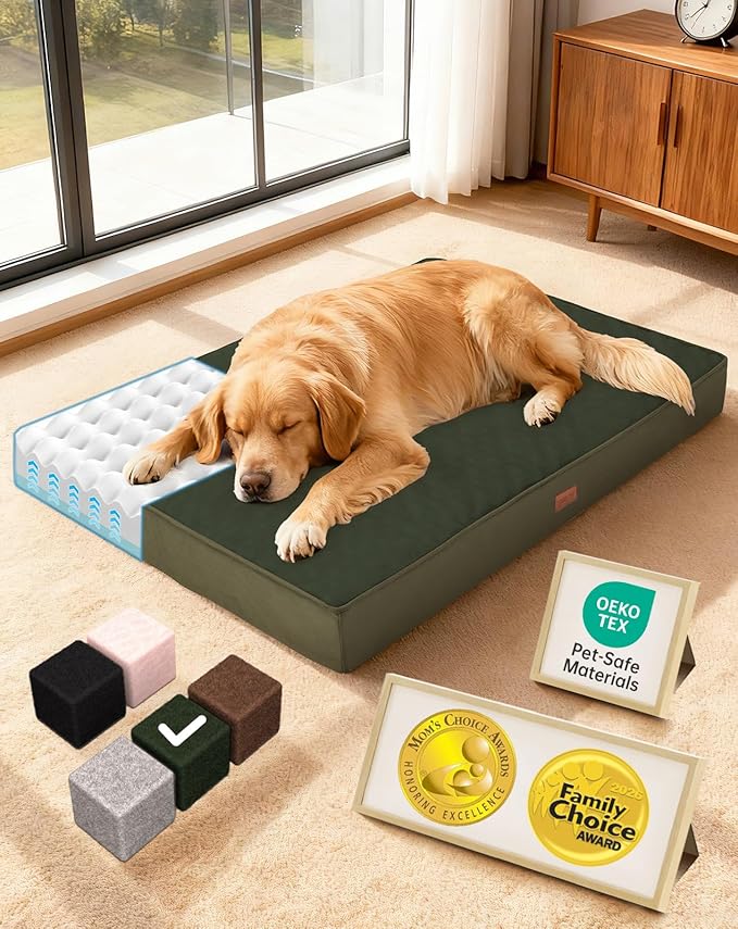OhGeni Orthopedic Waterproof Dog Bed for Large Dogs, Machine-Washable Removable Cover in Easy-Clean Fabric, Reversible Memory Foam & Easy-Carry Handle, Suitable for Crate, 41 inch (Green)
