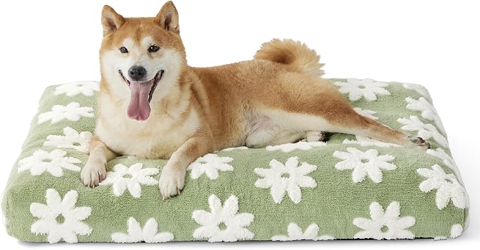 LE SURE Dog Beds Large Sized-Thick Shredded Chopped Foam Pet Bed Indoor as Bed Gift with Removable Cover, Cute Modern Fuzzy Plush & Anti Slip Bottom, Green