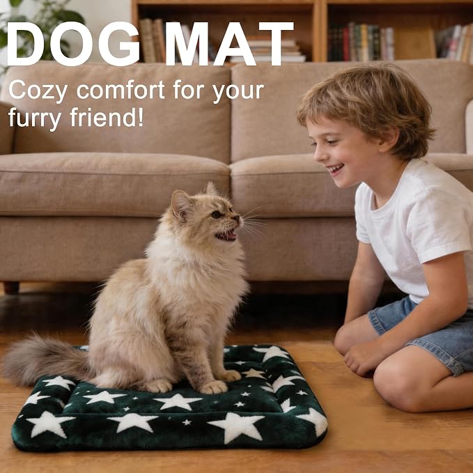 Dog Bed Mat – Soft & Comfortable Dog Kennel Pad for Crate – Durable Crate Bed & Mat for Dogs & Cats – Ideal for Crate, Kennel, and Home Use (Big&Little Stars Green, XS(18"*14"*1.5"))