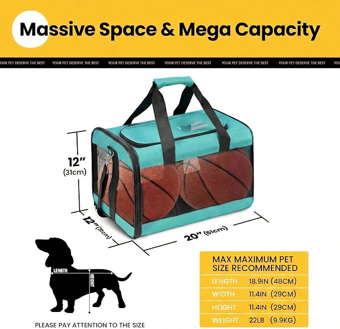 Conlun Dog Carrier Soft Sided, Large Cat Carrier with Inner Safety Leash, Pet Transport Carrier for Large Cats and Medium Dogs up to 20 Lbs, Collapsible Travel Puppy Carrier Bag -Turquoise L