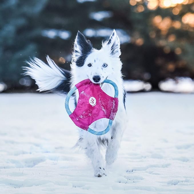 ZippyPaws Rope Gliderz - Durable Outdoor Dog Frisbee Toy, Soft Pet Flying Disc for Beach & Pool, Interactive Frisbee for Fetching, Made of Tough Mountain Climbing Rope - Magenta