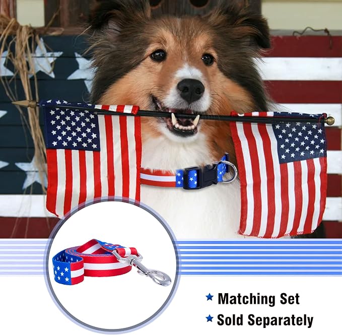 Native Pup American Flag Dog Collar- Red White and Blue- Patriotic Collars for 4th of July, USA- Adjustable Small, Medium, Large Breed Dogs (Medium, Flag I)
