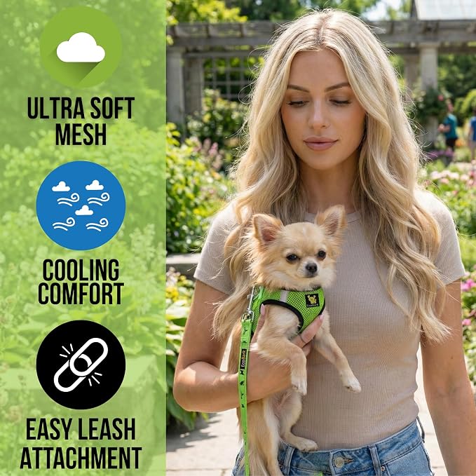 EcoBark Step in Dog Harness Reflective Soft Ultra Padded Mesh Dog Harnesses for XXS, XS, Small, and Medium Dogs Eco-Friendly Comfort Secure Halter No Pull Adjustable Pet Vest (XXXS, Neon Green Sport)