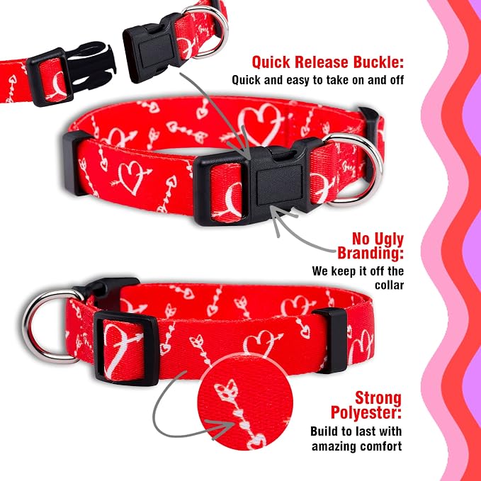 Native Pup Valentine’s Dog Collar- Valentines Day Pet Collars- Valentine Girly Hearts- Pink Red Heart- Cute Boy Girl Puppy Gift- Adjustable for Small, Medium, Large Breeds (Cupid's Arrows, Medium)