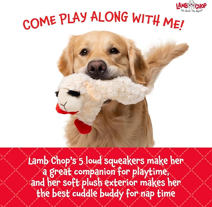 Multipet Lamb Chop Dog Plush Toy - Squeaky Toy for Small & Medium Dogs - Extra Soft Plush - Stuffed Animal for Cuddling & Playing (10", Cream, 5 Squeakers)
