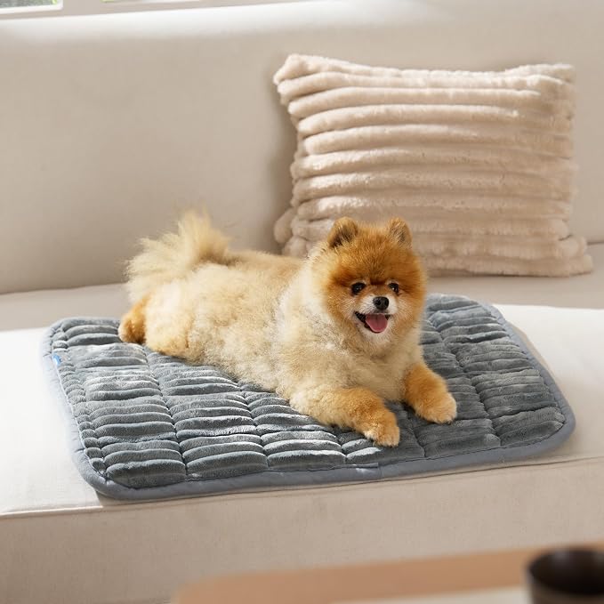Bedsure ComfyFleece™ Washable Dog Crate Pad,Soft Fluffy Small Pet Mat,24" | Thin Kennel Pad for Crates Topper,Flat Corduroy Fleece Pads for Dog Cages,Nonslip Bottom,Not Chewproof,Grey
