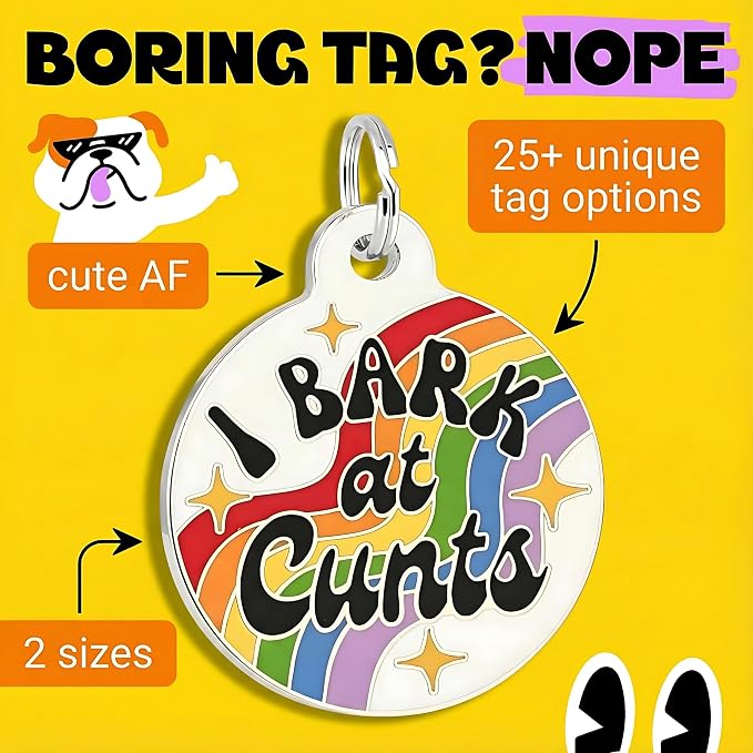 Bad Tags Personalized Dog and Cat ID Tags in 25+ Designs and 2 Sizes - 5 Lines of Custom Engraved Text - Funny Cute Personalized Pet Tags (I Bark at C*NTS - Rainbow, Small (1 inch))