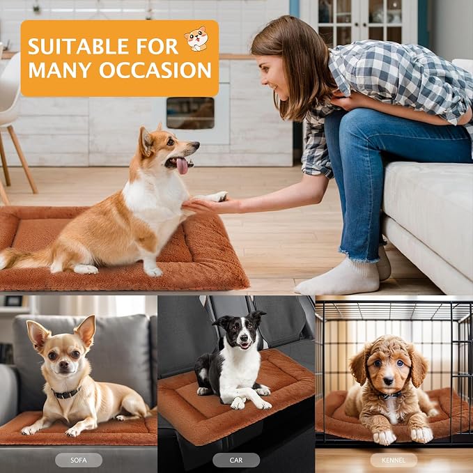 Reversible Dog Bed Mat with Plush and Corn Velvet,Soft Warm Pet Cushion, Dual Purpose Washable Sleeping Mattress Bed for Small Medium Large Dog and Cat XB004 (18 * 13", Orange)