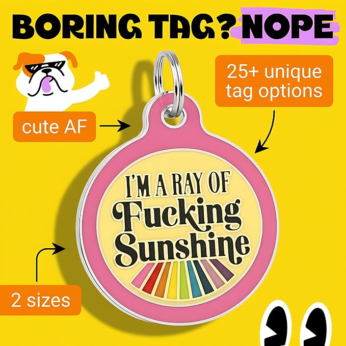 Bad Tags Personalized Dog and Cat ID Tags in 25+ Designs and 2 Sizes - 5 Lines of Custom Engraved Text - Funny Cute Personalized Pet Tags (I'm A Ray of F*cking Sunshine - Pink, Large (1.25 inch))