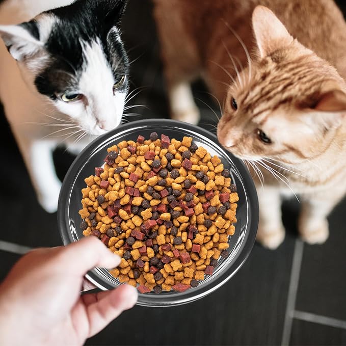 24 PCS Thickened Stainless Steel Cat Bowls, 5.5 Inch Shallow Wide Flat Metal Kitten Food Bowls, Whisker Friendly Fatigue Relief Replacement Basic Pet Dishes for Indoor Cats