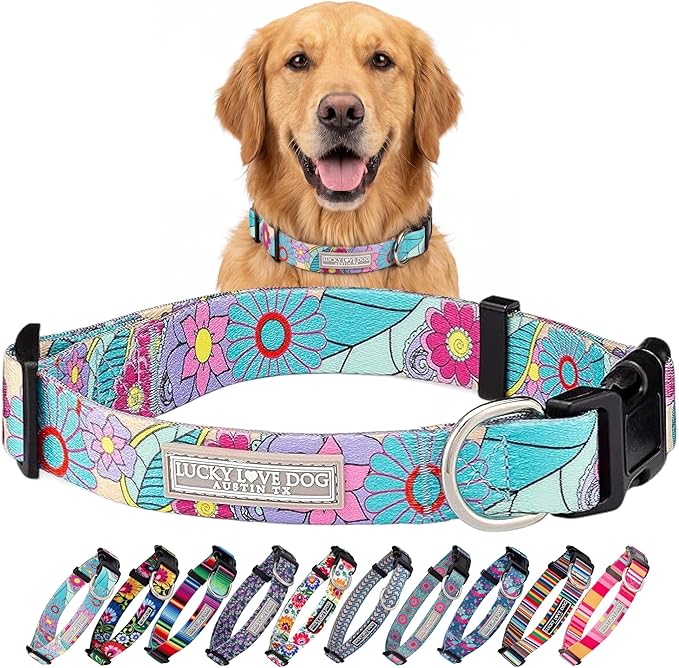 Lucky Love Dog Collars, Cute Large Dog Collars for Female Dogs, Part of Purchase Donated to Rescue (Large, Caroline, Collar)