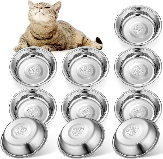Mimorou 10 Pcs Stainless Steel Cat Bowls Bulk, Small Dog Shallow Food Bowls Replacement Metal Cat Dishes for Pet Food and Water, Dishwasher Safe(5.5 Inch Diameter)