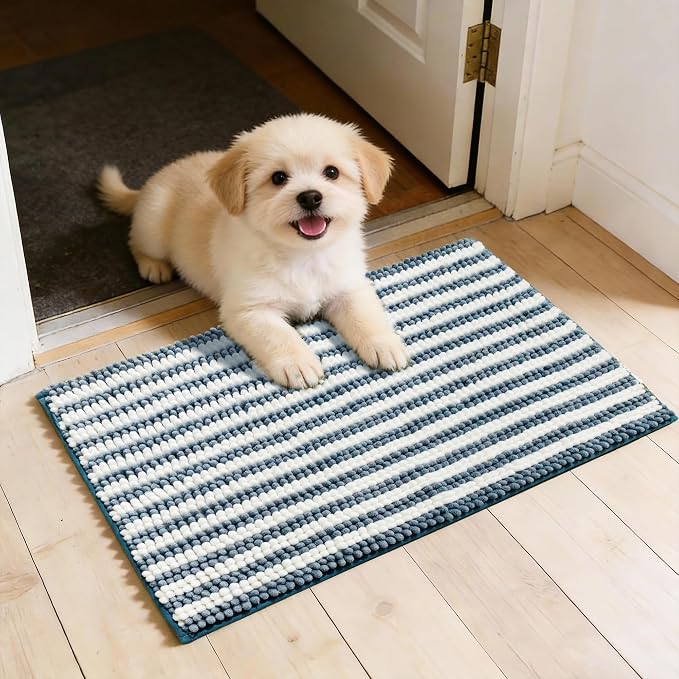 Dog Door Mat for Muddy Paws - Absorbent Quick-Dry Non-Slip Washable Chenille Pet Rug, Indoor Entryway Mat for Front Door & Crate (Blue, 24" L*16" W)