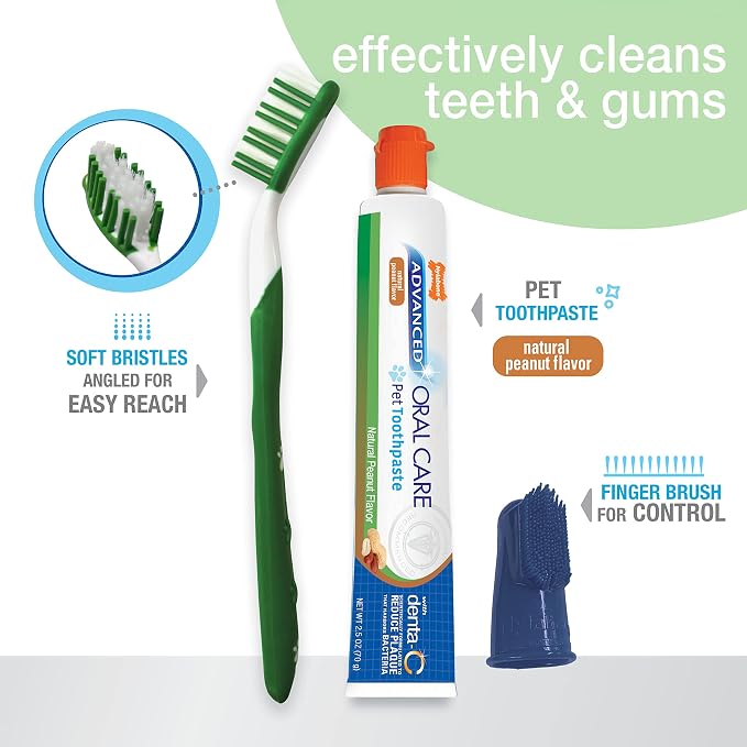 Nylabone Advanced Oral Care Natural Dog Dental Kit Peanut Flavor 2.5 oz.