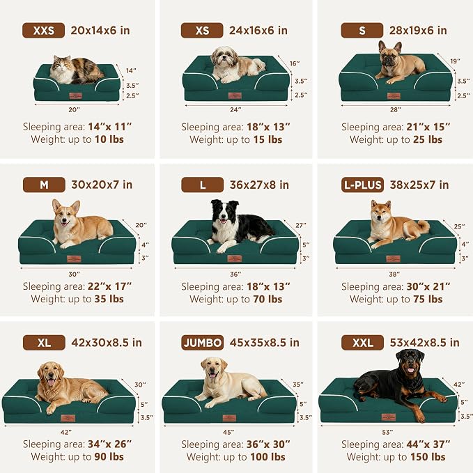 Comfort Expression Orthopedic Dog Beds for Large Sized Dog with Bolster | Waterproof Dog Couch Bed with Washable Cover & Non-Slip Bottom, Supportive Egg Crate Foam Large Pet Bed, 36x27 Inch