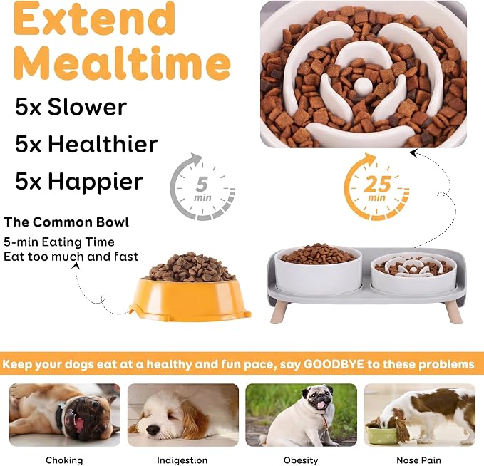 Elevated Slow Feeder Dog Bowls - Ceramic Food and Water Bowl Set with Stand - Raised Pet Dishes for Small and Medium Sized Dogs