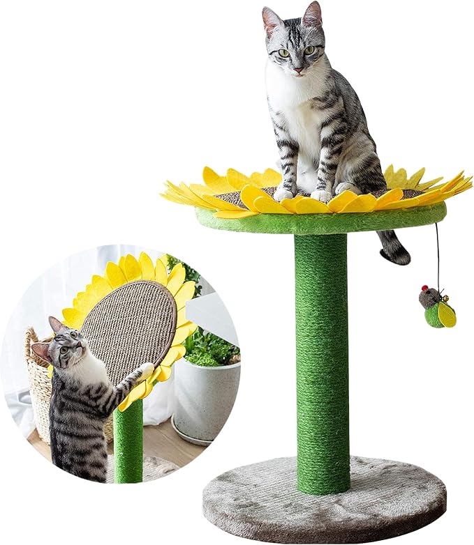 Catry Sunflower 2-in-1 Cat Scratching Post with Convertible Bed & Bee Toy | Aesthetic Sunflower Cat Scratcher with Replaceable sisal Post and Adjustable Flower Pad Ideal for Small to Medium Cats