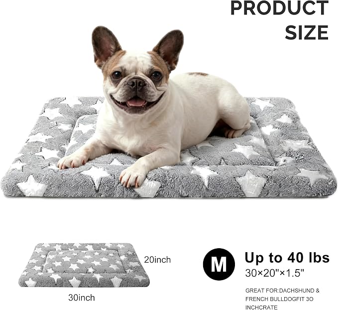 Dog Bed Mat, Reversible Crate Pad & Durable Dog Bed - Machine Washable Kennel Mat with Ultra Soft for Medium Dogs (Cool/Warm), 30" x 20", Grey&Star