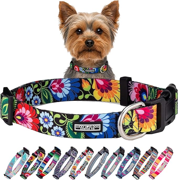 Lucky Love Dog - Adjustable Dog Collar with Easy Click Buckle for Small Ones, Durable, & Comfortable for Male & Female Dogs, Pet Collar for Puppies & Adult Dogs - Blackbird, X-Small